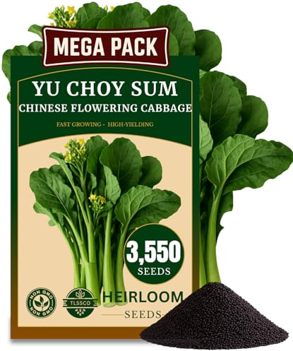 3500+ USA Premium Yu Choy Sum Seeds for Planting, Non-GMO Seeds – Fast Growing, Low Maintainance, Heat and Cold Tolerant – High-Yielding, Heirloom