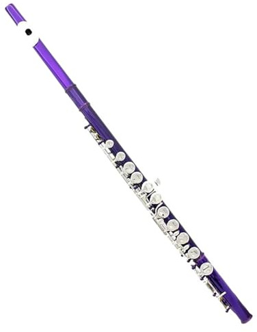 16 Stängda Öppna Hål C Key Tvärflöjt Konsertinstrument Med Tillbehör För Student Tvärflöjt Kit (Color : Purple)