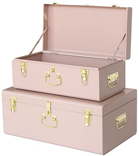 Vixdonos Decorative Metal Box Storage Trunks Set of 2 College Dorm Chest with Handle (Pink)