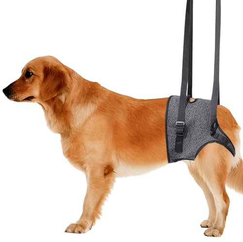 Harnais de levage pour chien - Aide au transport souple - Aide à la marche réglable - Harnais de soutien pour les pattes arrière - Sangle de transport pour chien - Support de sécurité pour chiens