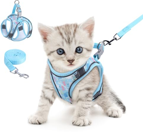 Brifit Katzengeschirr, Katzen Geschirrset Ausbruchsicher mit Reflektierenden Streifen, Verstellbar Cat Harness mit Leine 150cm, Katzen Geschirr für Kleine Kitten Hunde [Blau XXS] für 2-3KG Pet