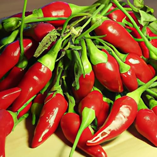 Busta Seme Peperoncino Calabrese Professional Seeds, Mondonatura