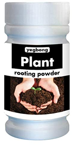 Root Powder, Rooting Powder for Cuttings Root Hormone Root Stimulator Fertilizer and Soil Improver Grow New Plants From Cuttings for Indoor Plants Shrubs Lawn Fruit Vegetables 50g & 100g(100g)