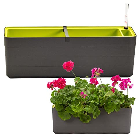 Plastia Berberis - 60 cm - Grå & Grön
