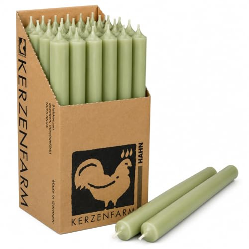 Extra lange Stabkerzen Salbei-Grün – 25 cm (250 mm) – Ø 2,2 cm – durchgefärbt & tropffrei – Made in Germany – Kerzenfarm Hahn – 12 Std. Brenndauer – wählbar 10 oder 25 Stück (25, Salbei-Grün)