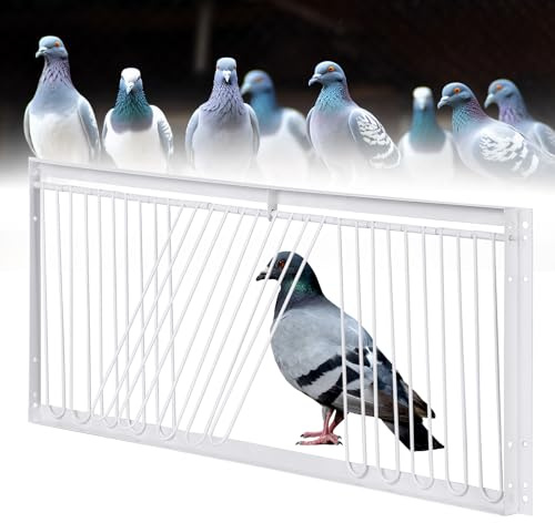 MOGOULUA puerta de trampa en T para palomas de 60 cm, entrada unidireccional, trampas de loft, puerta de jaula activa para palomas, loros y pájaros