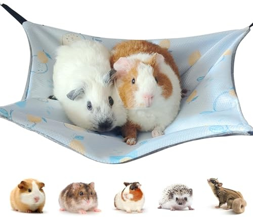 Hamac Cochon D'inde Maison cochon d'inde, Hamac Lit pour Animaux Glace Soie