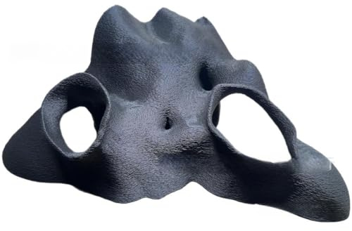Lawnoval Cachette d'angle pour terrarium d'aquarium - Imitation racine de mangrove - Aspect reptile pour décoration d'aquarium - Poissons, crevettes, geckos, serpents, noir ou blanc pour noir-S