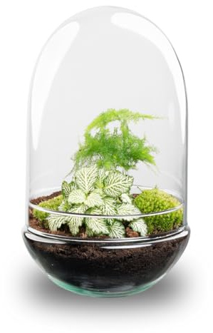 Terrarium Gör-det-själv-kit • Egg XL • Ekosystem i glasägg • Tjocklek 30 cm – gör-det-själv-terrarieset, komplett terrariset, växterrarium, urbanjngl | Inga verktyg