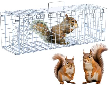 61.0 cm Lebendtierfalle Tierfalle Humane Tierfalle für streunende Katzen bis 2,5 kg Waschbären, Eichhörnchen, Stinktiere, Maulwürfe, Murmeltiere, Gürteltiere, Kaninchen, Stahl klappbar mit