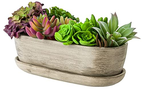 Keramik Blumentopf Blumenschale Kakteenschale Untersetzer Wasserloch Kakteen Bonsai Sukkulenten (oval, Beton grau)