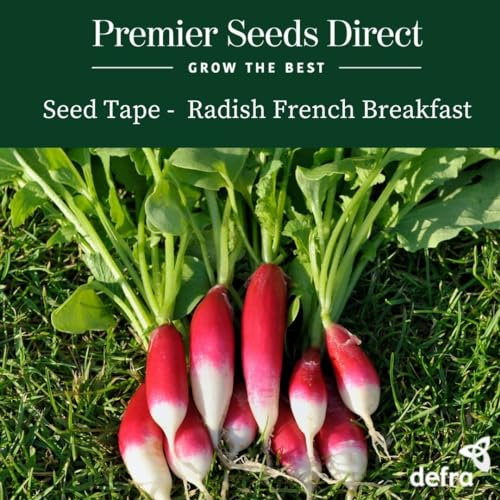 PREMIER SEEDS DIRECT - Seed Tape Radish French Breakfast - 6M (3X2M) - Approx 300 Seeds