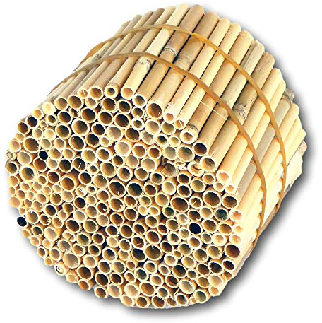 BeeCasa by Hiss Reet® Schilfrohrhalme Premium | Geschälter Bund | Insektenhotel & Bienenhotel Füllmaterial | Niströhren & Nisthülsen für Wildbienen