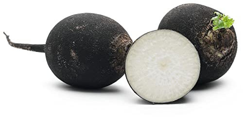 Sachet de graines de Radis noir gros rond d'hiver- Légume racine- Les Graines Bocquet