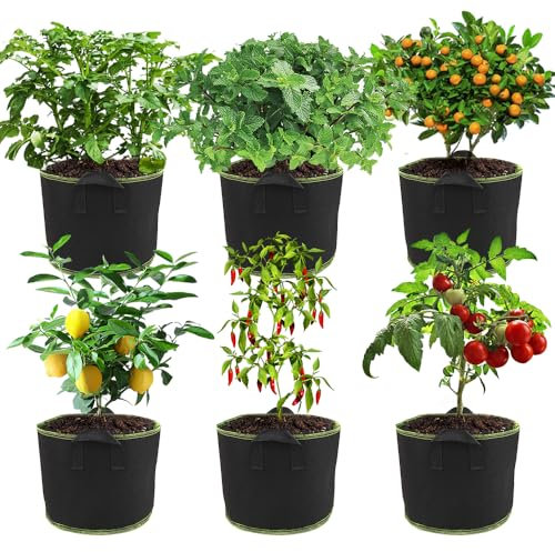 NAVESO 6 Stück Pflanzsack 20L, Vliesstoff Pflanztasche, Pflanzensack mit Griffe, Pflanzenwachstum Taschen, Pflanzsäcke Klein, Pflanzsack 5 Gallonen, Pflanztasche Balkon für Tomaten, Kartoffeln, Gemüse