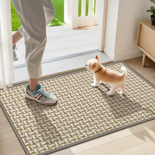 LEKEEPGO Zerbino Ingresso Interno 43x75cm, Tappeto Ingresso Interno Antiscivolo, Tappeti Lavabile, Tappetino Assorbente per Casa Porta, Entrata, Corridoio, Grigio