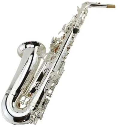 Professionell Saxofon Altsaxofon För Nybörjare I Försilvrad Ess klaviatur Med Fodral