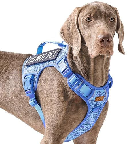 No Pull Dog Harness for Large Dogs with 2 Metal Clips, Easy On/Off with Neck Buckle, Heavy Duty Adjustable Tactical Puppy Vest, Breathable Pet Harness with Easy Control Handle, Blue L
