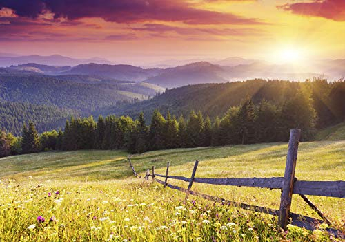 decomonkey Fototapete Landschaft Natur 350x256 cm XL Tapete Fototapeten Vlies Tapeten Vliestapete Wandtapete Gebirgee Wandbild Wand Schlafzimmer Wohnzimmer Gebirge