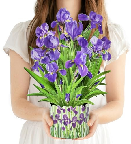 PINELIFE 3D Greeting Cards Pop Up Cards 16 Iris Paper Flower Bouquet Gifts for Women Mom Wife Birthday, Anniversary, Get Well with Note Card & Envelope, Romantic Iris