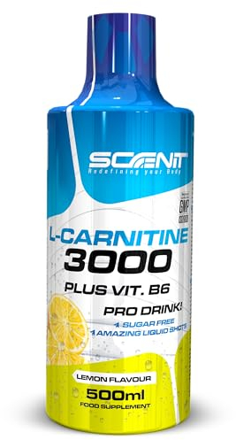 L Carnitine 3000 - L Carnitine - L-Carnitine - L Carnitine Liquide - Carnitine Liquide - LCarnitine - Carnitine Pure - L-Carnitine Liquide - 500 ml (Citron)