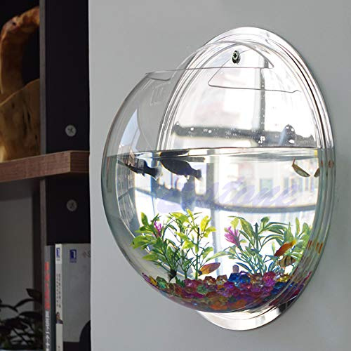 qiuxiaoaa Fish Tank, Acrylic Wall Hanging Vivarium, Home Decoration Feeding, 15x15cm