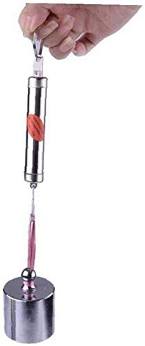 UNbit Báscula portátil Vintage mecánica de 5kg, báscula de Resorte con Gancho, báscula de Bolsillo, báscula doméstica de Resorte de Bolsillo Básculas