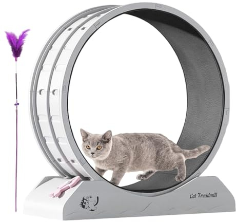 Rueda de ejercicio para gatos, herramienta de fitness para gatitos pequeños, rueda de ejercicio para gatos grandes con avance, cinta de correr para gatitos para interiores