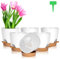 OFFCUP Lot de Pot de Fleur en Plastique, 6pcs Pots de Fleurs Auto-Arrosant, Pots de Plantes avec Trous De Drainage et Soucoupes Amovible pour d'Intérieur et d'Extérieur Jardins de Balcon -Blanc 16,5cm