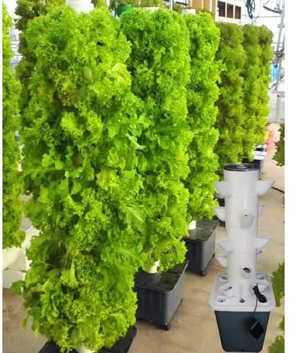 RRrawgff Torre hidropónica Vertical, Sistema de Cultivo hidropónico de jardín con Bomba humectante, Adaptador, Temporizador. 12/09/15/18 (hoyo)