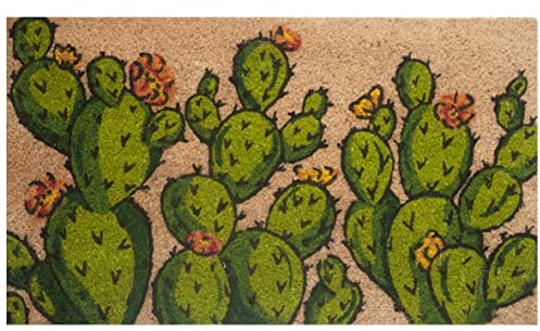 Baroni Home Zerbino Ingresso Casa in Fibra di Cocco Dipinto a Mano, Tappeto da Esterno con Fondo Antiscivolo, Zerbino Resistente e Facile da Pulire, Cactus Fiori Arancioni, 70x40 cm