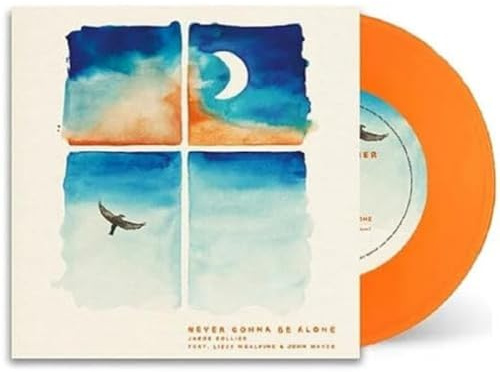 Never Gonna Be Alone [VINYL]