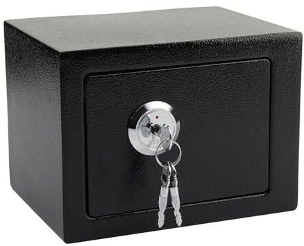 Rynli 4.6L Safe Box with Keys Stainless Steel Fireproof Home Safe for Cash, Jewelry, Documents, Files, Money Box Comes with Accessories and 3 Key, 23 x 17 x 17 CM - Ideal for Office, Home & Hotel Use