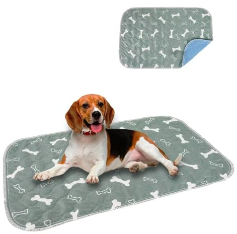 Eastlion Reusable Dog Training Pads, Super Absorbent Waterproof Mat, Washable Indoor Outdoor Car Travel for Dogs & Cats (23.6x15.7 inch, 1 PCS) S-Grey