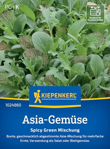 Kiepenkerl Asia-Gemüsesamen Spicy Green Mischung 1024860, Gemüsesaat