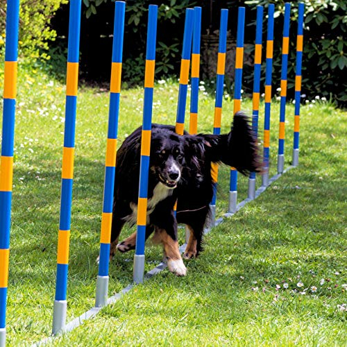 PROCYON Hunde Agility Profi-Slalom Set Doggy