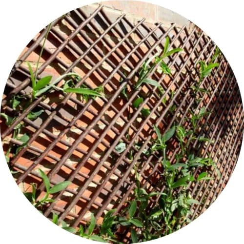 Willow Garden Trellis - Expandable Plant Support for Climbing and Long-Stemmed Plants (60x180cm)