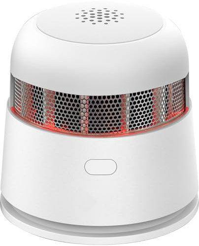 SECAIR Detecteur de Fumée Batterie 10 Ans, Détecteur de Fumée Mini Selon EN14604, Detecteur de Fumee Photoélectrique avec Bouton Muet, ZR170S, Lot de 10