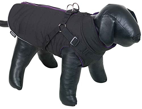 Nobby Hundemantel SOBAK 2 in 1, schwarz-lila, 26 cm, 1 Stück
