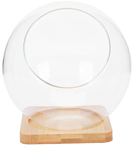 Operitacx Sukkulenten-Terrarium, Terrarium, Glas, Mikro-Landschaftsflaschen, runde Vase, Tafelaufsatz, Terrariumkugel, 13,5 cm, Terrarienglas, hängender Glas-Pflanzgefäß