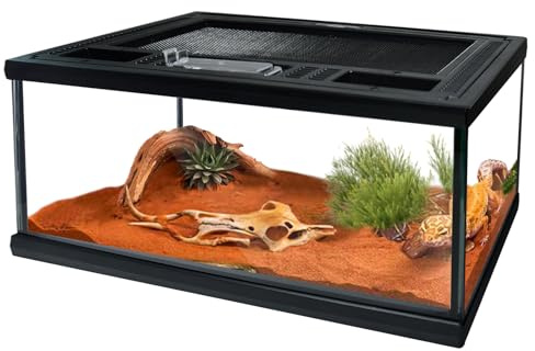 Reptile Glass Terrarium Tank 12*8*6,Small Cage Full View with Top Screen Ventilation Habitat Enclosure for Tarantula,Frog,Gecko,Insects,Spiders,Snakes,Hermit Crab,Turtle,Ball Python