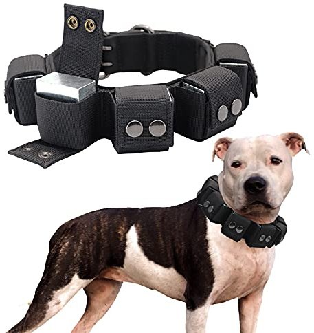 WalkTime viktat taktiskt hundhalsband, justerbart träningskrage med fria vikter, mjukt vadderat nylonhalsband med metallspänne och D-ring för små medelstora hundar