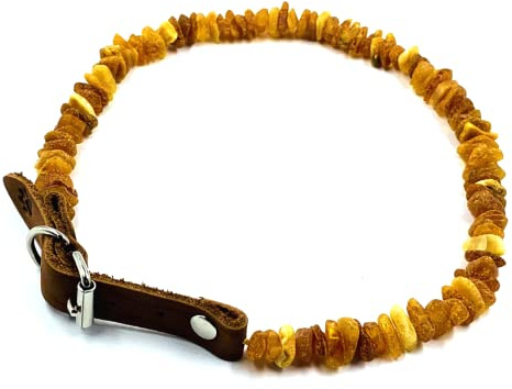 Amber Jewelry Shop Bärnstenskedja för hund – bärnstenhalsband för hund – naturliga baltiska bärnstenspärlor, Bärnsten