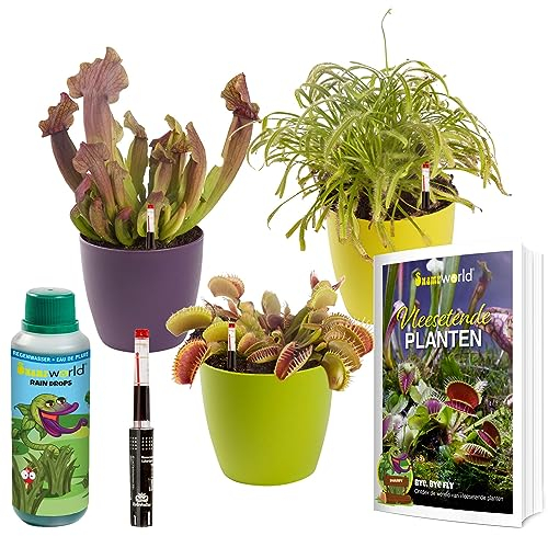 vdvelde.com - Swampworld Fleischfressende Pflanzen Set 3 + Buch, Wassermesser & Farbige Töpfe - 1x Venusfliegenfalle, 1x Sonnentau & 1x Schlauchpflanze - Topf-Ø 9 cm, Pflanzenhöhe: 10-20 cm