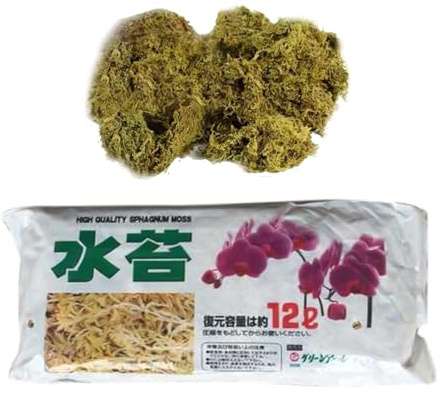 Moos para plantas en macetas | Turba seca natural para orquídeas | Decoración de la planta y mejora del suelo, ideal para Phalaenopsis, jardín de orquídeas, terrario, arreglos florales, jardín domésti