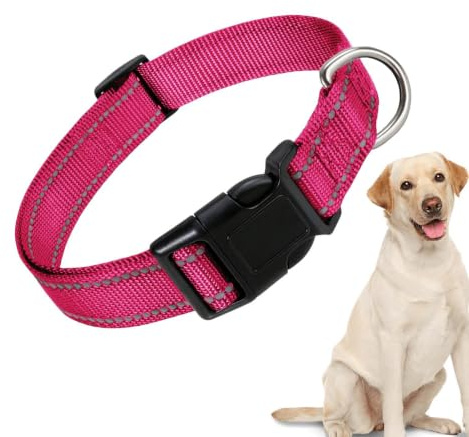 Reflekterande hundhalsband, justerbart valphalsband Reflekterande Justerbar | Hund komforthalsband för små medela hundar katt Nattsäkerhet Reflexutrustning Mjuk vadderad löpträning utomhus