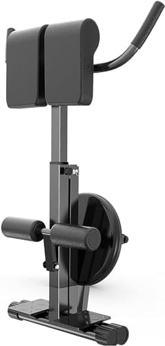 Banco de hiperextensión, máquina de fortalecimiento de espalda ajustable con disco de torsión de cintura para entrenamiento de gimnasio en casa
