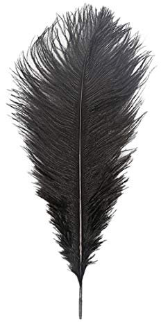 Sex Spielzeug Federkitzler Farbiger Liebes Massage Feder SM Bondage Erotik Flirten Feder Erwachsene Sexspielzeug für Männer Frauen Paare (Schwarz)