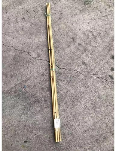 WERKA PRO Lot de 6 Tuteurs en Bambou H 150cm (Ø 14-16 mm)