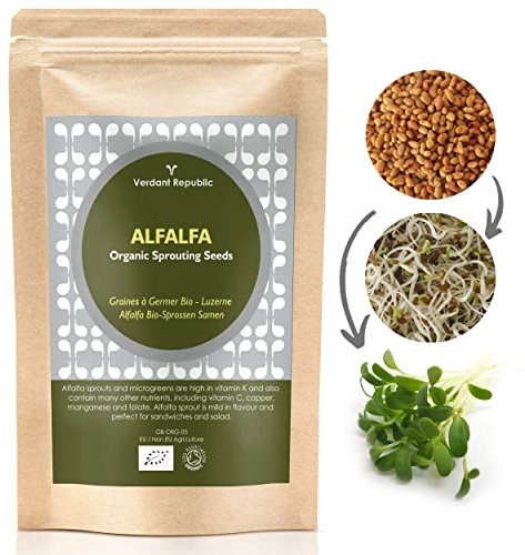 Verdant Republic Organic Alfalfa Sprouting Seeds 1kg | Non GMO Healthy Superfood |Easy to Sprout in 4 Days | High Germination into Microgreens